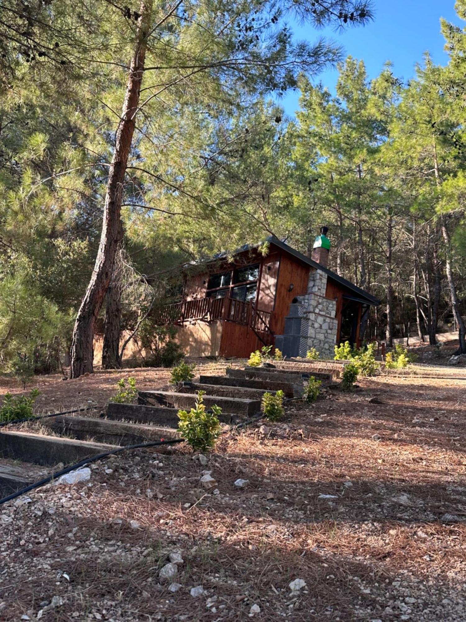 Panurlawoodenhouse Villa Buitenkant foto
